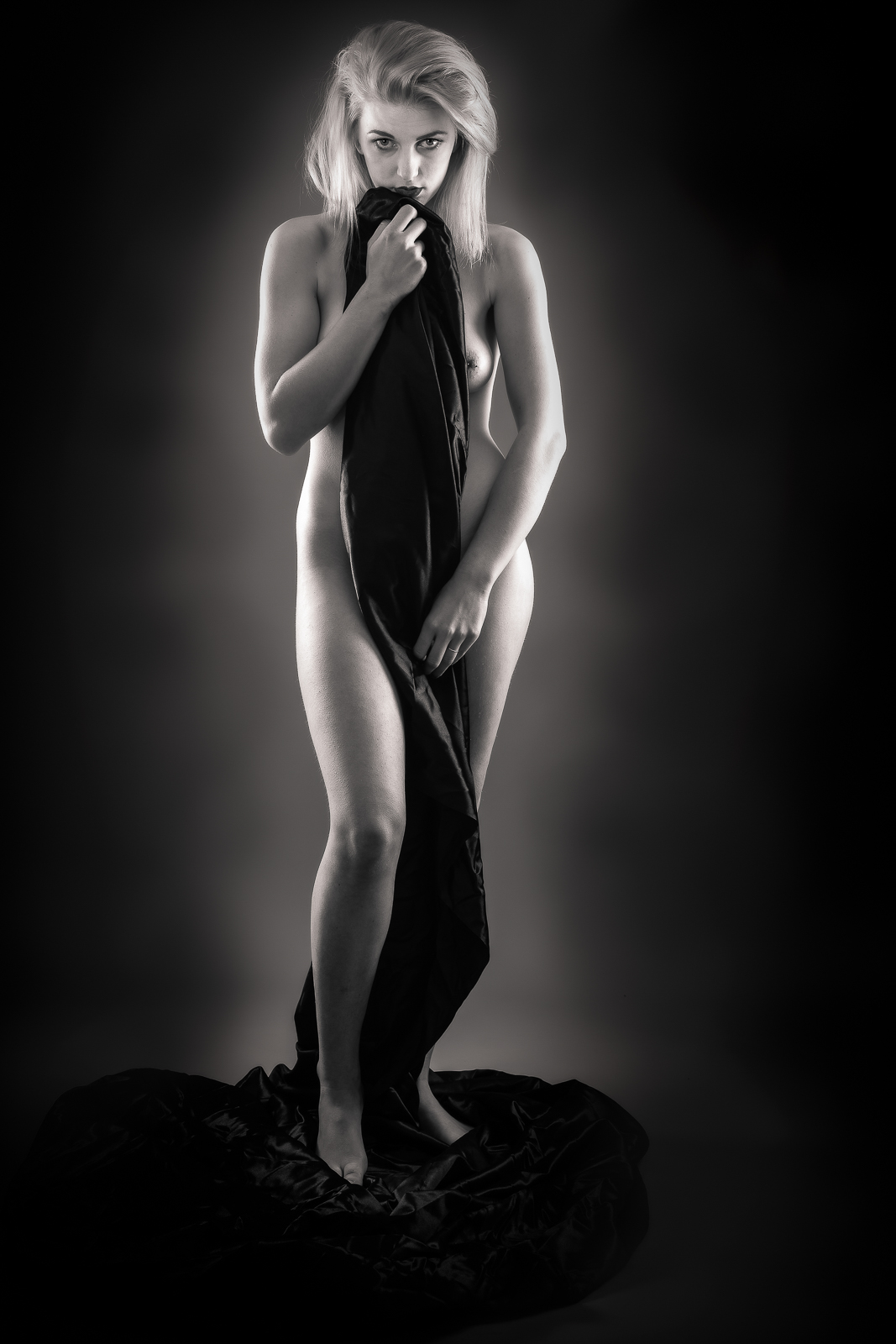  DAN9683 Modif Modif Modif